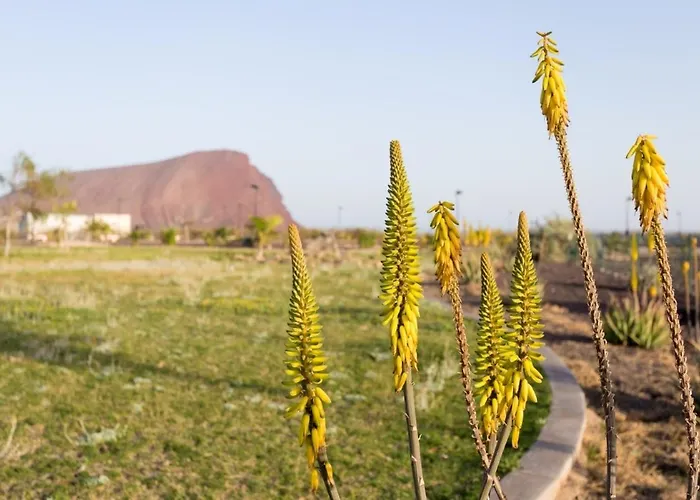 Vista Roja 아파트 *