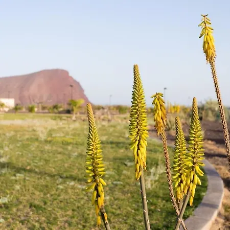 Vista Roja Lejlighed *