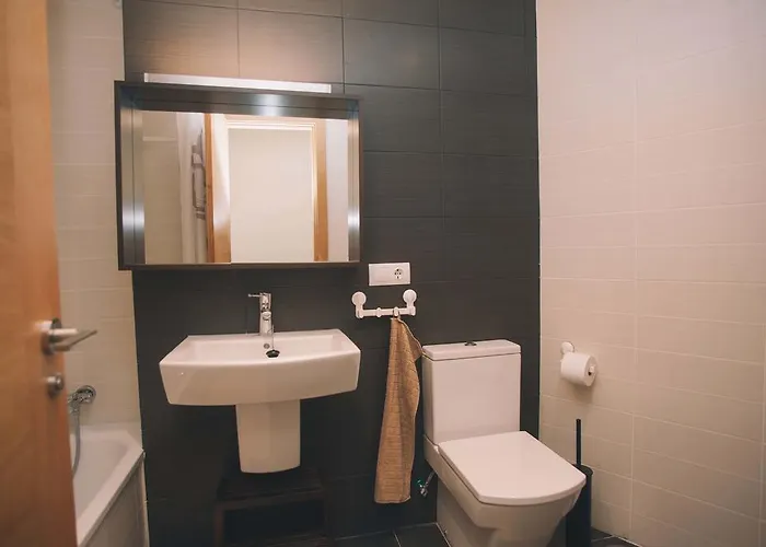 فيستا روجا *